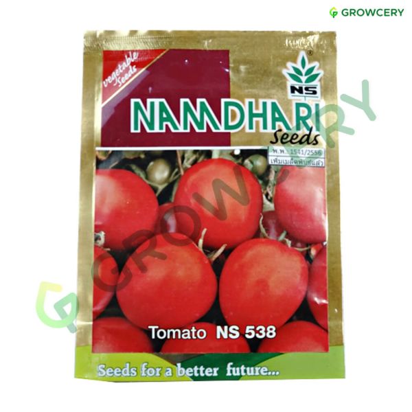 มะเขือเทศ นามธารี Tomato NS 538 (ซอง)