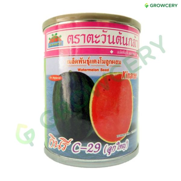 แตงโมกินรี C-29 ตราตะวันต้นกล้า ขนาด 40 ก. (กระป๋อง)