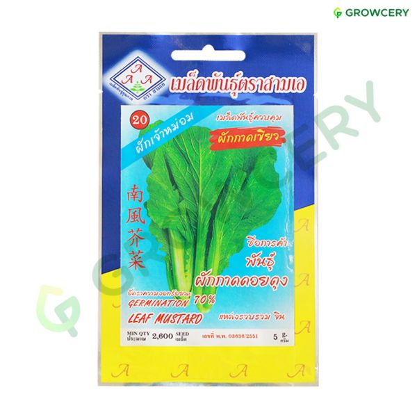 ผักกาดเขียว พันธุ์ผักกาดดอยตุง ตราสามเอ ขนาด 5 กรัม (ซอง)