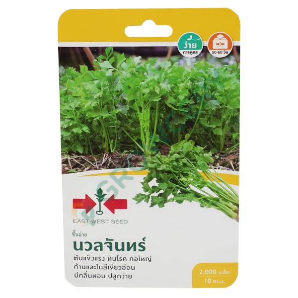 ขึ้นฉ่าย นวลจันทร์ ตราศรแดง ปริมาณ 2000 เมล็ด (ซอง)