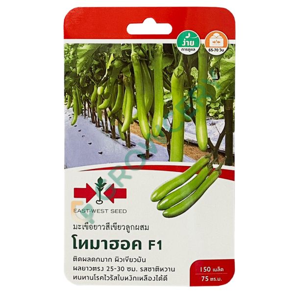 มะเขือยาวสีเขียวลูกผสม โทมาฮอค F1 ตราศรแดง 150 เมล็ด (ซอง)