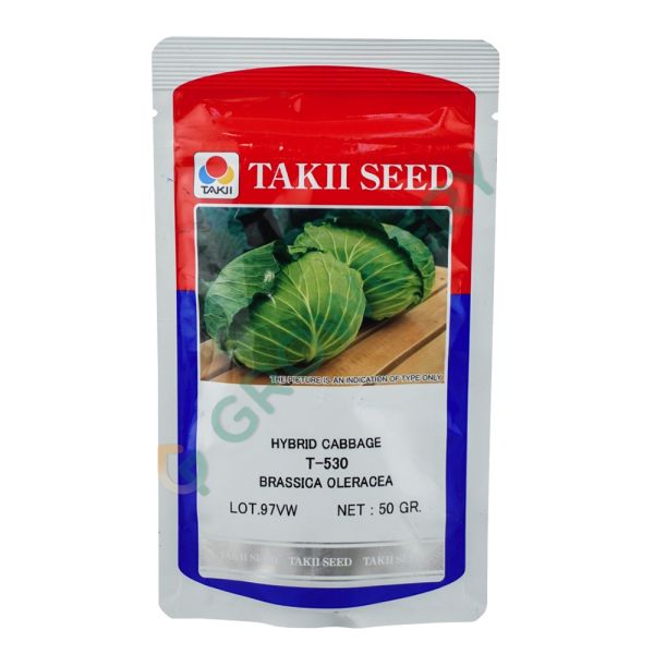 กะหล่ำปลี T-530 ยี่ห้อ TAKII SEED จาก เจียไต๋ ขนาด 50ก. (ซอง)