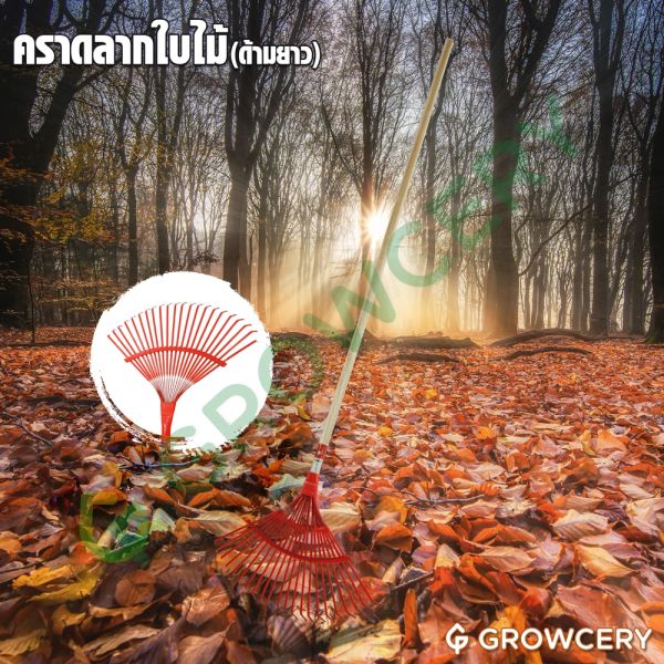 คราดเหล็กลากใบไม้ SOLO