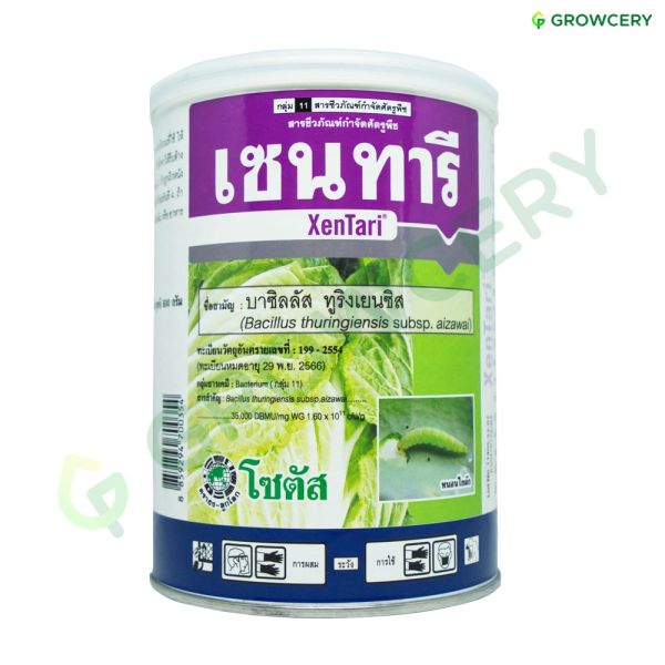 เซนทารี บาซิลลัส ทูริงเยนซิส