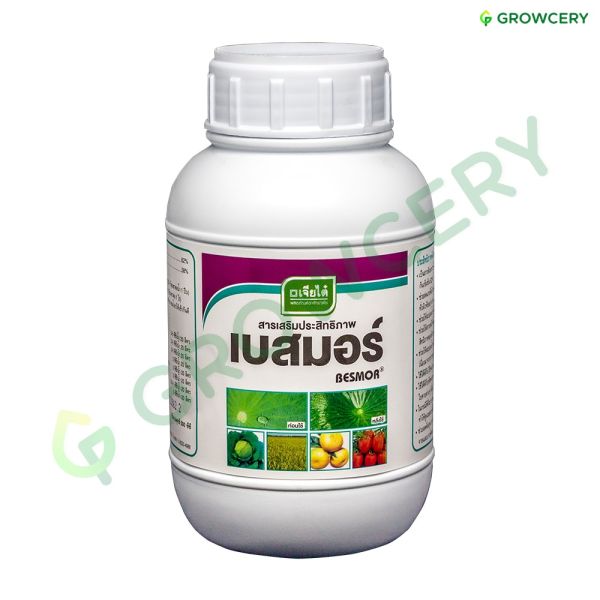 เบสมอร์ สารจับใบ