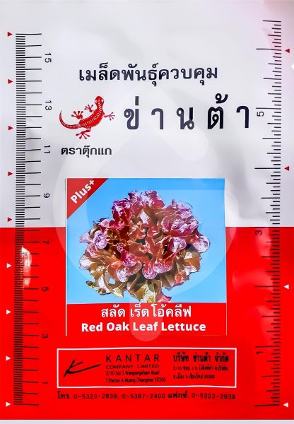 สลัดเร็ดโอ้คลีฟ ตราตุ๊กแก ข่านต้า ขนาด 10 ก. (ซอง)