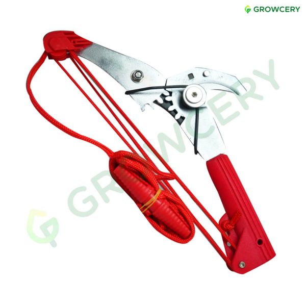 กรรไกรกระตุกกิ่งไม้ SOLO 5488