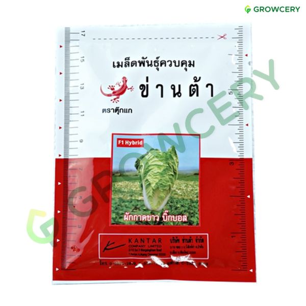 ผักกาดขาวสุกี้ ตราตุ๊กแก ข่านต้า 20 กรัม