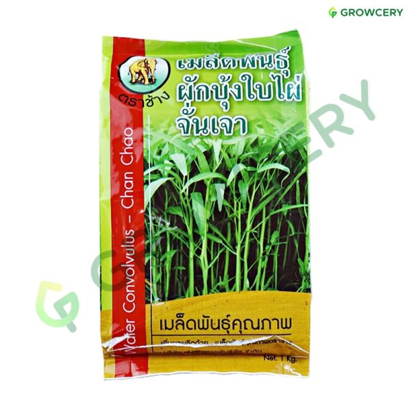 ผักบุ้งใบไผ่ จั่นเจา ตราช้าง ขนาด 1000 ก. (ถุง)
