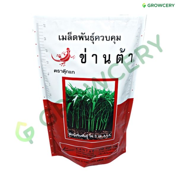 ผักบุ้งไผ่ 3A ตราตุ๊กแก ขนาด 1000 ก. (ถุง)