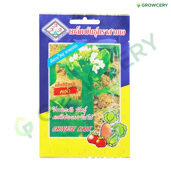 คะน้า พันธุ์ฮ่องกงจัมโบ้ ตราสามเอ ขนาด 10 กรัม (ซอง)