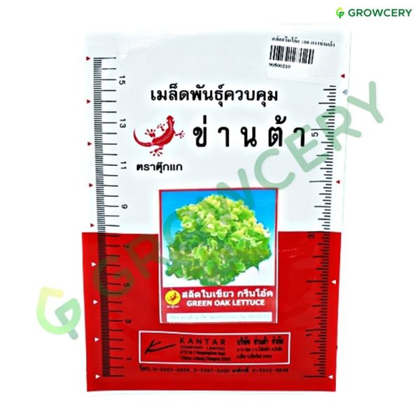 สลัดกรีนโอ๊ค ตราตุ๊กแก ข่านต้า ขนาด 10 ก. (ซอง)