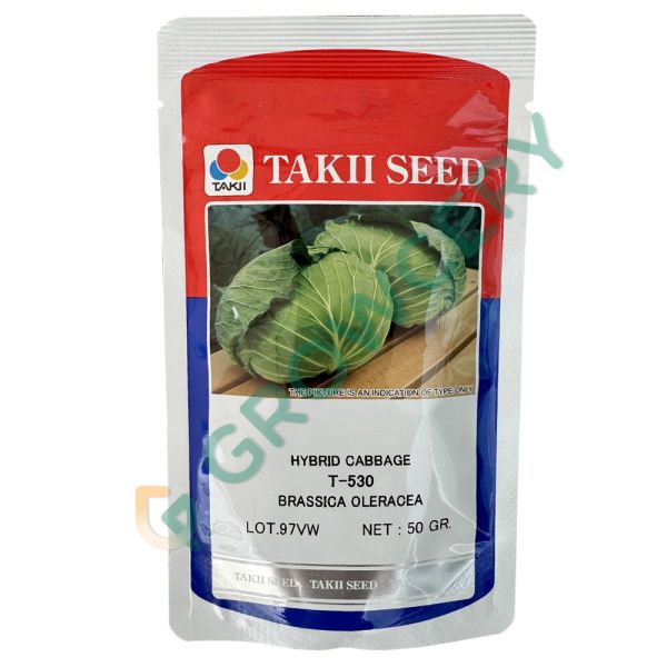 กะหล่ำปลี T-523 ตราเครื่องบิน เจียไต๋ ขนาด 50 ก. (ซอง)