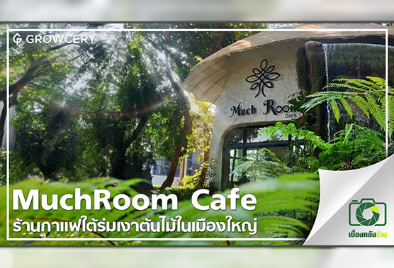รีวิวเบื้องหลัง MuchRoom Cafe Chiang Mai