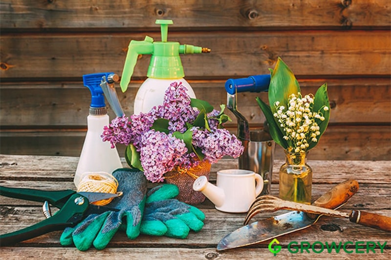 10 อุปกรณ์/เครื่องมือ ที่ควรมีติดบ้าน และสวน